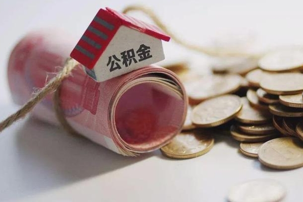 冠县补充公积金（补充公积金怎么查）